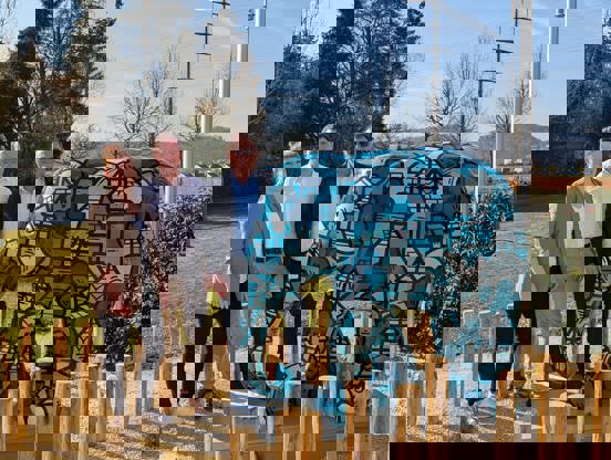 >Ein Immofant in Staufen